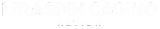 Liraspin Casino logo